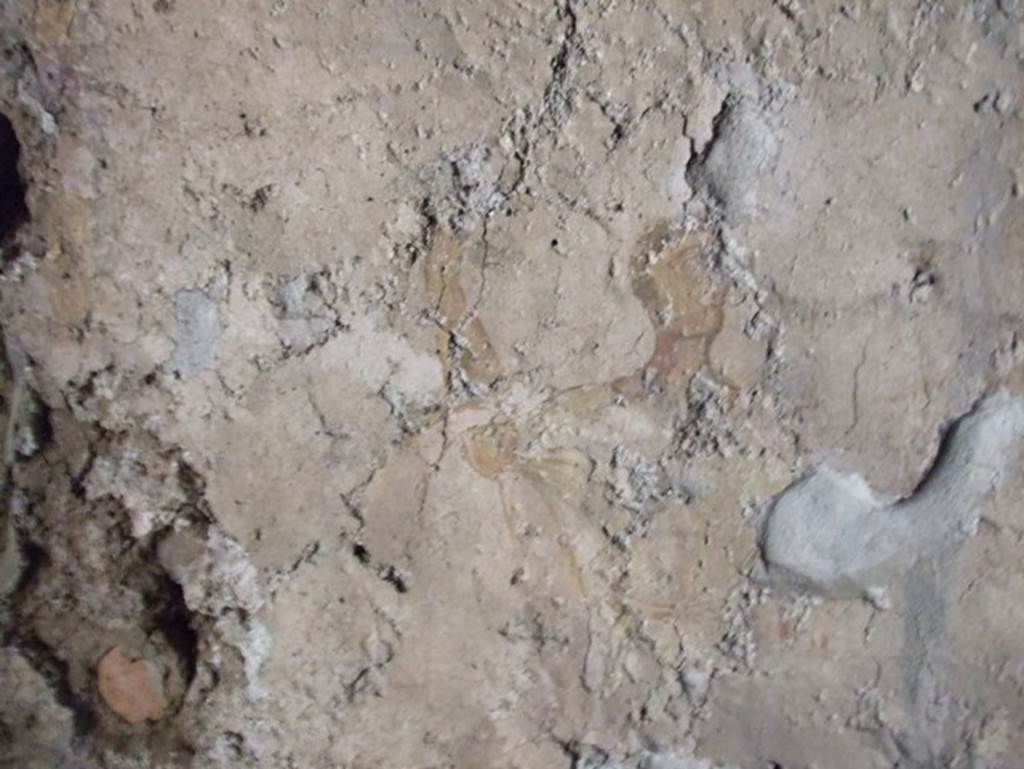 II.9.1 Pompeii. December 2007. Remains of wall painting of man with arm raised. Is this the picture Frohlich refers to as a very faded painting on the west wall of room 9? See Fröhlich, T., 1991, Lararien und Fassadenbilder in den Vesuvstädten. Mainz: von Zabern. (L41b:p.266).
According to Giacobello, a painted lararium was seen on the west wall of room 9, in the centre of white wall plaster. A serpent was coiled around an altar, the Genius assisted by a camillo was sacrificing. The Lares were at the sides of this scene. See Giacobello, F., 2008. Larari Pompeiani: Iconografia e culto dei Lari in ambito domestico. Milano: LED Edizioni. (p.162)