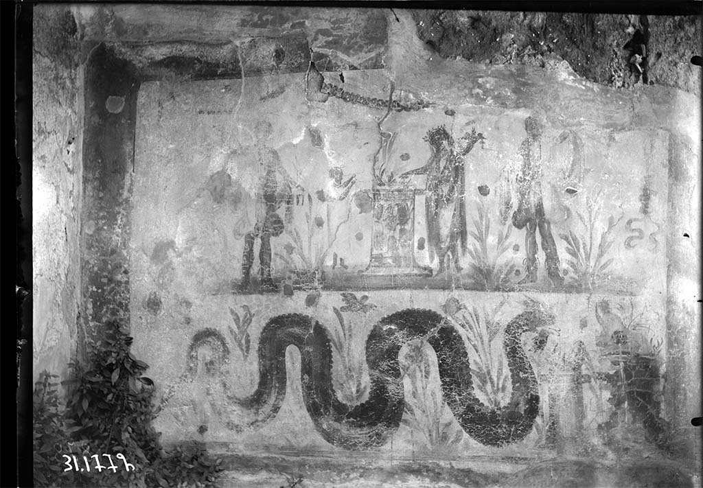 V.2.c Pompeii. 1931. Room “b”. Lararium painting.
DAIR 31.1772. Photo © Deutsches Archäologisches Institut, Abteilung Rom, Arkiv.
According to Boyce, this was a finely preserved lararium painting including a broad red stripe on all sides.
In the upper part, the Genius, wreathed and holding cornucopia in his left, poured a libation from a patera held in his right.
The cylindrical altar, painted in red and yellow imitation marble, had a blazing fire on its top.
On the opposite side of the altar, a tibicen in long white robe played the double flutes.
On each side, stood a Lar wearing tunic and pallium and holding a rhyton and situla.
The tunic of each Lar had a broad red stripe down the front and was yellow and blue.
The pallium was red. Three garlands were painted across the top, and two others hung down at the side.
Above the garland were three divinities – the Sun, Mercury and another, possibly the Moon, but even then disappeared.
Underneath, a yellow and brown serpent with red crest creeps towards an altar with fire and an egg on top.
On the right side of this altar is the figure of Sarnus, lying in the middle of aquatic plants.
He is very small compared to the serpent.
On the left side of the serpent, corresponding to Sarnus on the right, was another figure but also had disappeared by then.
The background of both zones was filled with plants with red flowers. Above the serpent, was a single flying bird.
See Boyce G. K., 1937. Corpus of the Lararia of Pompeii. Rome: MAAR 14. (p.36, no.99, Pl. 17,1)