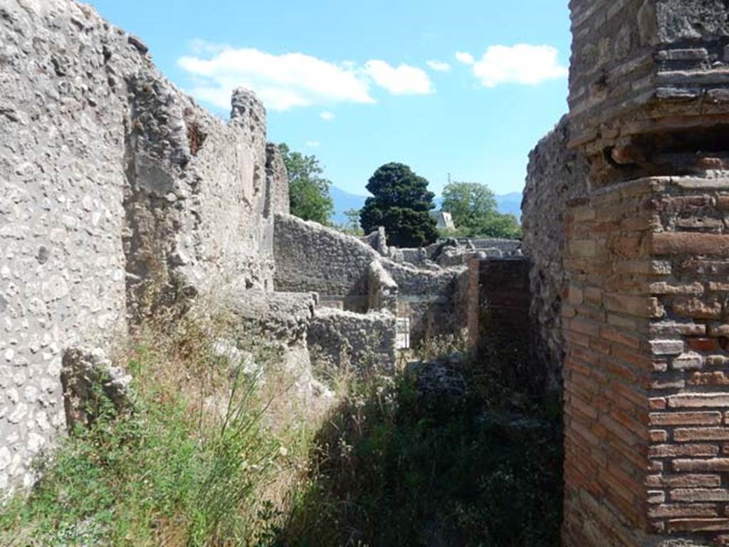 V.4.9 Pompeii. May 2017. Looking south from entrance into the room in the south-east corner of the atrium, across site of latrine. In the centre of the photo can be seen the rear rooms of V.4.7. Photo courtesy of Buzz Ferebee.