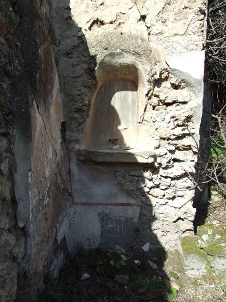 V.4.13 Pompeii. March 2009. Lararium niche in north-west corner of garden. According to Boyce, on the north side of the garden was a section coated with white stucco and marked off as a panel with broad red stripes. In it was set a large arched niche. The corners within the arch were outlined in red, as was the shape of the niche on the surrounding wall. The rear wall was painted blue, studded with red and yellow spots and yellow stars with red centres. On the ground before the niche stood a masonry altar covered in stucco. The altar had a rectangular hollow in its upper surface. In this hollow, traces of burning were seen by the excavators. Around the corner from this niche, on the west wall of the open area which precedes the garden on the north, was a broad sheet of white plaster. On this plaster were painted two yellow serpents near a cylindrical altar with fruit, in the background were plants. In the floor below this painting were the marks left by a square masonry altar.
See Boyce G. K., 1937. Corpus of the Lararia of Pompeii. Rome: MAAR 14. (p.42, no.126, Pl. 11,2)
