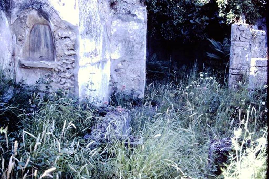 V.4.13 Pompeii, 1978. Looking towards lararium niche in north-west corner of garden area. Photo by Stanley A. Jashemski.
Source: The Wilhelmina and Stanley A. Jashemski archive in the University of Maryland Library, Special Collections (See collection page) and made available under the Creative Commons Attribution-Non Commercial License v.4. See Licence and use details. J78f0279