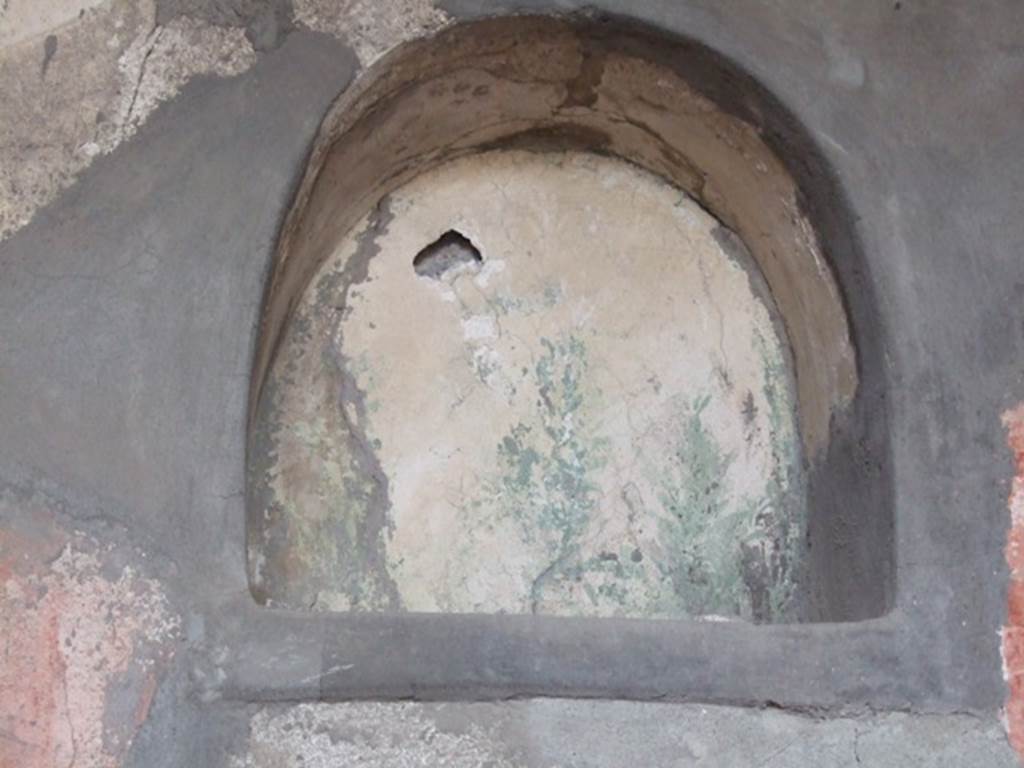 VI.5.3 Pompeii. December 2007. Room 20, niche in west wall. According to Boyce, in the room opening off the south-west corner of the atrium, in the west wall opposite the entrance door, is an arched niche. This is set high up in the wall. Its interior walls were painted with green plants on a white background. The niche is made to stand out from the decoration of the walls of the room, for it is set across the line which divides the lower panels, which are alternating red and yellow, from the upper register, which is white. See Boyce G. K., 1937. Corpus of the Lararia of Pompeii. Rome: MAAR 14. (p.46, no.152)