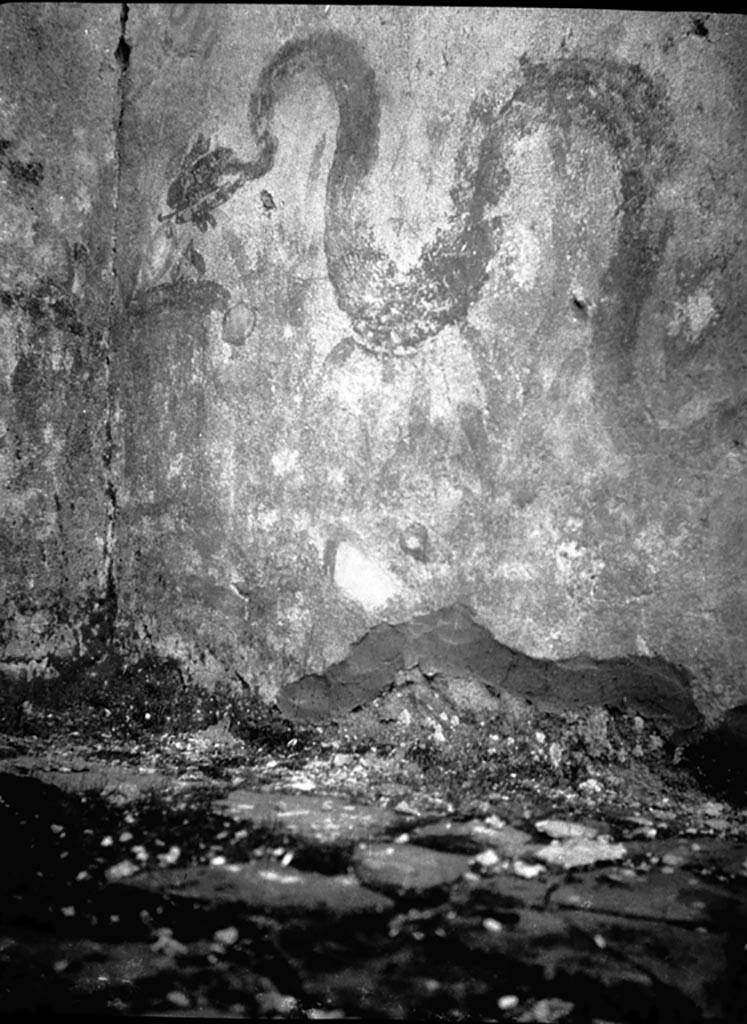 VI.9.7 Pompeii. W1068.
Room 4, north-west corner of kitchen, remains of lararium painting of serpent on north wall.
Photo by Tatiana Warscher. Photo © Deutsches Archäologisches Institut, Abteilung Rom, Arkiv.