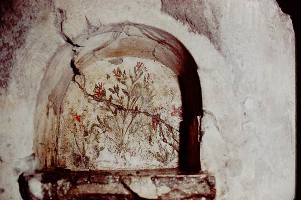 VI.17.41 Pompeii. 1978. Lararium niche decorated with flowered bushes from south wall of room on north-east corner of atrium. Photo by Stanley A. Jashemski.
Source: The Wilhelmina and Stanley A. Jashemski archive in the University of Maryland Library, Special Collections (See collection page) and made available under the Creative Commons Attribution-Non Commercial License v.4. See Licence and use details. J78f0561