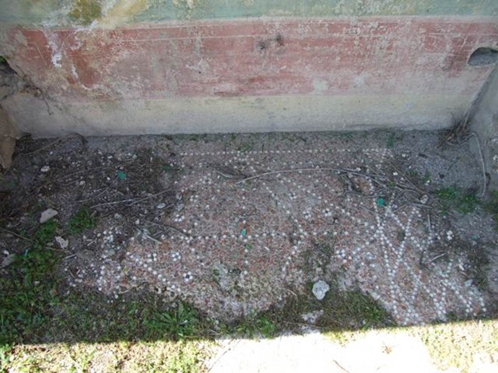VII.2.16 Pompeii. March 2009. Decorative floor in lararium niche in west wall of portico. According to Boyce, along the west portico there were two large niches, one with wooden doors, the other recess for two large cupboards. On the ground before the one with wooden doors, were found the following bronze statuettes:
Fortuna wearing a turreted crown and holding a cornucopia and rudder.
Minerva wearing a helmet and holding a spear and patera.
Apollo with quiver on his shoulder holding a laurel branch and patera.
A wreathed Lar, standing on a base of lead.
The bust of a female figure from a herm.
Also found were other objects, among them gold earrings, a bronze bracelet, 373 pieces of coral and a small amphora of glass. There seemed to be a discrepancy as to the actual find spot, as Boyce remarks that on page 19 of the Giorn.Scavi, this is given as within the niche fitted with the wooden doors.
On page 26, it says found on the ground before it. Fiorelli agrees with them being found on the ground before the niche.
Giorn.Scavi, N. S., I, 1868, pp.19, 26.
See Boyce G. K., 1937. Corpus of the Lararia of Pompeii. Rome: MAAR 14. (p. 62, no. 251)
See Pappalardo, U., 2001. La Descrizione di Pompei per Giuseppe Fiorelli (1875). Napoli: Massa Editore. (p. 81)