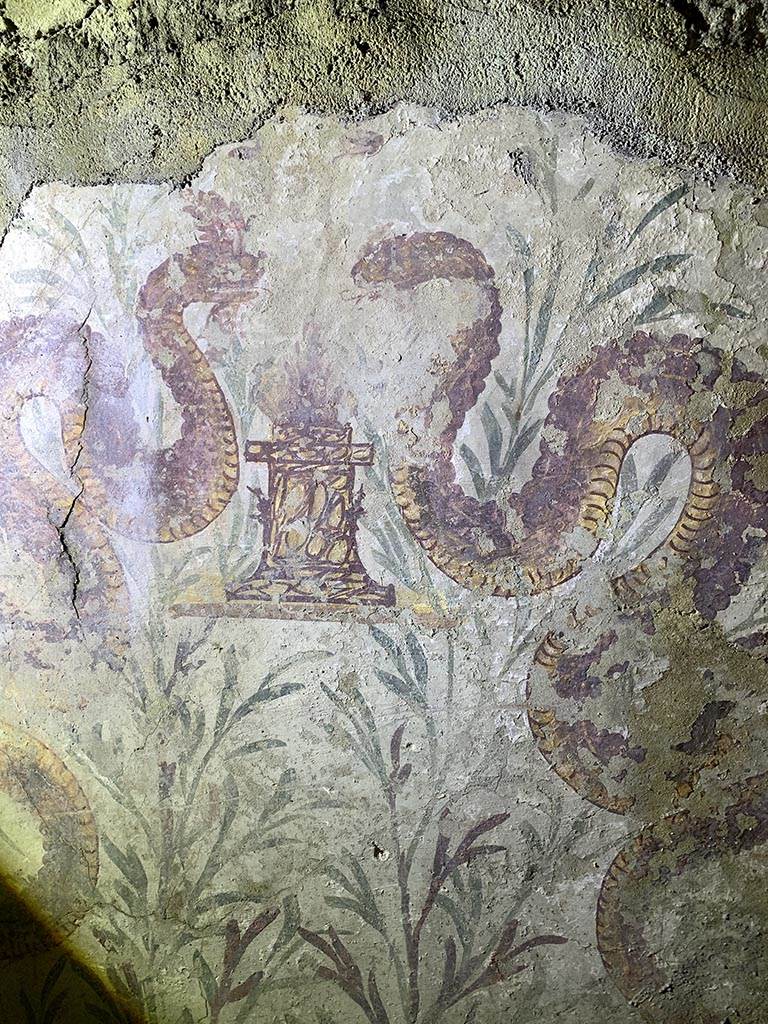 VII.2.20 Pompeii. November 2024.
West wall of Sacellum, detail of painted serpents. Photo courtesy of Yuliya Sanchenko.