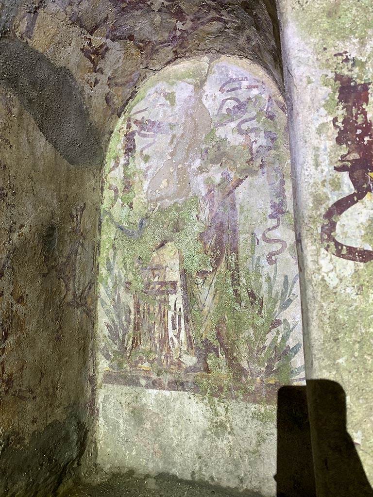 VII.2.20 Pompeii. November 2024.
Painted lararium niche on north wall at west (left) side. Photo courtesy of Yuliya Sanchenko.