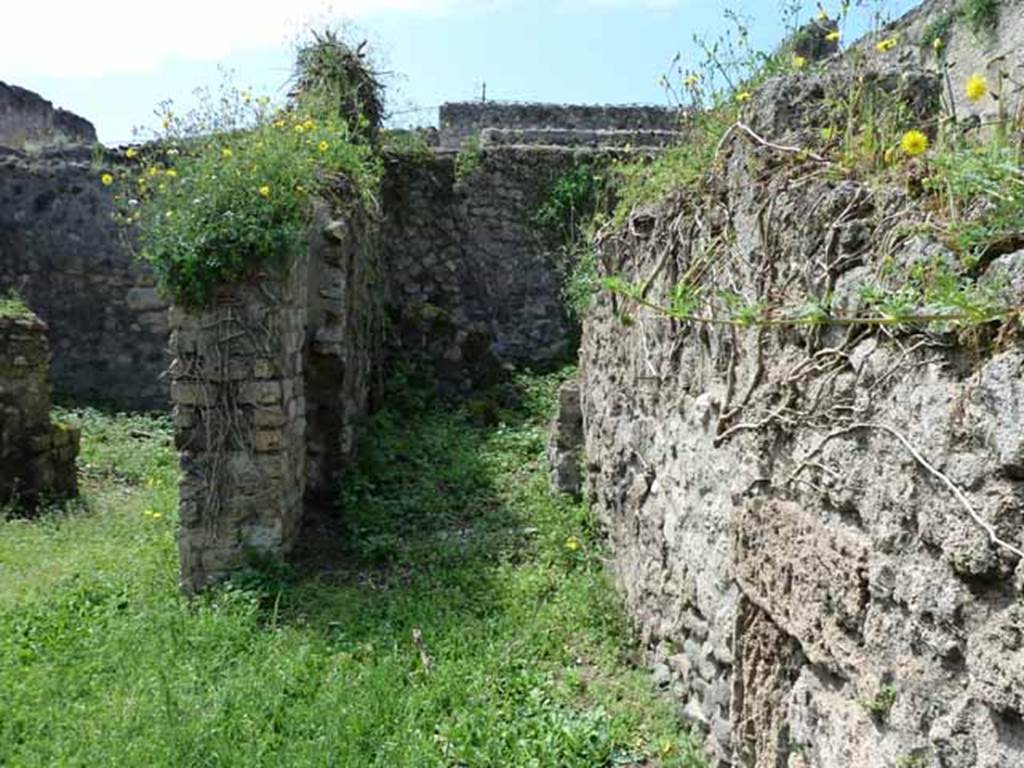 VII.3.23 Pompeii. May 2010. Looking west towards garden, on the left, and rear corridor to kitchen, on the right, from the small atrium.
According to Liselotte Eschebach the small atrium had a sacellum and garden. See Eschebach, L., 1993. Gebäudeverzeichnis und Stadtplan der antiken Stadt Pompeji. Köln: Böhlau. (p.269)
According to Boyce, on the wall of one of the rear rooms of VII.3.22/23, was a painting of two serpents confronted at an altar; in the background were plants and among them, at the time, was visible the tail of a third serpent, but the rest of the body had disappeared. Below the painting was the graffito: LARES/PROPI/tiOS. (CIL IV 844).
See Boyce G. K., 1937. Corpus of the Lararia of Pompeii. Rome: MAAR 14. (p.65)