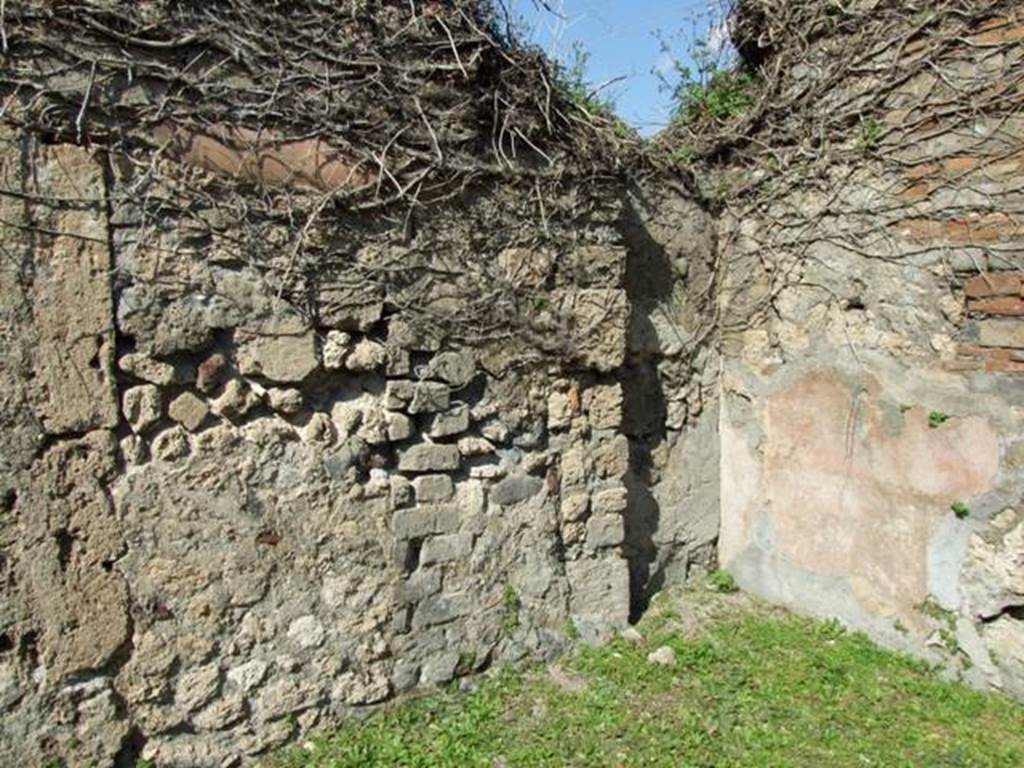 VII.4.56 Pompeii. March 2009. Room 1. Atrium. North wall and north east corner, with recess. Under the dead ivy in the top left hand corner are 2 lararium niches.