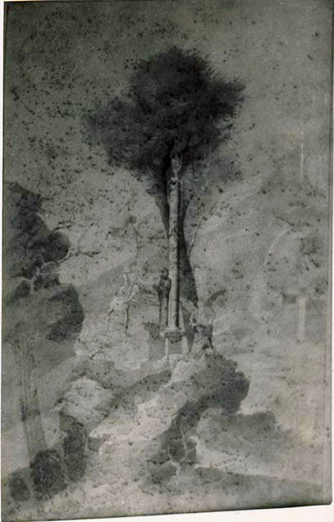 1.2.17 Pompeii. Painting of Selene and Endymion set in a sacral-idyllic landscape.
Photo included in Codex by Tatiana Warscher, described as Riproduzione dal disegno appartenente all’Istituto Archeologico Germanico. See Warscher T., 1935. Codex Topographicus Pompeianus: Regio I.2. (no.30), Rome: DAIR, whose copyright it remains. According to Warscher, quoting Bull. Inst. 1873, p.238/40 – I.2.17 “Sulla parete destra del tablino della casa che sta sul cantone verso NE dell’isola 2, reg I, troviamo un paesaggio con figure mitologiche”. (translation: I. 2.17 "on the right wall of the tablinum of the house which stands towards the north-east corner of insula 2, Reg. I, we found a landscape with mythological figures”.) (There followed the full description of the painting).
“Tutto il resto è svanito. Ma mi disse il signore Sogliano, che fu presente quando questa pittura venne alla luce, che allora si vedevano bene i cavalli alati, e che inoltre sopra la testa della figura mentovata vi era una mezza luna. Non resta dunque il menomo dubbio che qui non si abbia a ravvisare Endimione e Selene, e che quell’uomo d’aspetto selvaggio non sia che una figura decorativa, un pastore, che con maraviglia guarda quello che succede. La pittura è grande m.1,34 + 0,85. (translation: “Everything else has vanished. But according to Sogliano, who was present when this painting was brought to light, they clearly saw the winged horses, and also above the head of the figure mentioned there was a half-moon. There is not the least doubt, that here they had seen Endymion and Selene, and that the man of wild aspect was a decorative figure, a shepherd, who looked with wonder at what was happening.The painting was large, m. 1,34 + 0,85.”)
Nella stessa casa in una camera a destra del peristilio un piccolo quadro (m.0,64 + 0,31) rappresenta una villa con giardino e portici, situata al lido d’un lago. Fra la villa e il lido havvi una statua ed un uomo chinato a terra. (translation: In the same house in a room to the right of the peristyle, a small painting (m.0.64 + 0.31) showed a villa with garden and porticoes, located at the lido of a lake. Between the villa and the lido, there was a statue and a man kneeling on the ground).
Un altro quadro in una camera a sinistra del tablino ci mostra Ercole che sta tranquillamente abbassando la destra colla clava, portando sulla spalla sinistra la pelle del leone. A sinistra si vede una colonna sopra una base. La pittura è larga m. 0,60, Ercole alto m.0,55”. (translation: Another picture in a room to the left of the tablinum showed Hercules quietly lowering the right arm with the club, carrying on his left shoulder the lion's skin. To the left, one saw a column above a base. The painting was large m. 0,60, Hercules was m. 0,55 tall".)
See also Sogliano, A., 1879. Le pitture murali campane scoverte negli anni 1867-79. Napoli: Giannini.
(Page 75, no.456, Selene and Endymion (our room 7)
– Page 81, no.491, Hercules (see our room 10)
– Page 143, no.691, Garden painting (our room 14).
With reference to the Garden Painting from the Peristyle (page 143, no.691), Sogliano described it as – “Veduta di un giardino in cui sono due cancelli sormontato ciascuno da un’anfora, e dietro ad essi un boschetto con uccelli. (Bull. Inst, 1874, p.265)
(translation:"View of a garden in which there were two gates surmounted each by an amphora, and behind them a wood with birds”.)