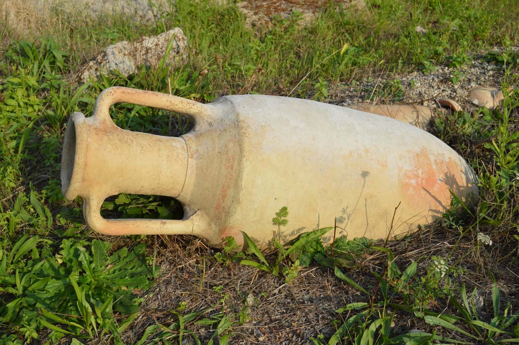 I.2.24 Pompeii. October 2017. Amphora.
Foto Taylor Lauritsen, ERC Grant 681269 DÉCOR.