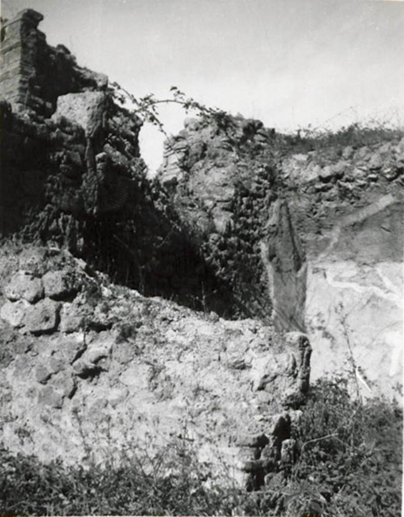 I.3.6 Pompeii. 1935 photograph taken by Tatiana Warscher. Looking north from entrance room towards north wall and doorway into room on north side. According to Warscher, she wrote �
�Sul muro di fondo della bottega si apre una finestra che d� sulla strada�.
(translation: �In the rear wall of the shop, there opened a window that gave onto the street�.)
See Warscher, T, 1935: Codex Topographicus Pompejanus, Regio I, 3: (no.14), Rome, DAIR, whose copyright it remains.  
