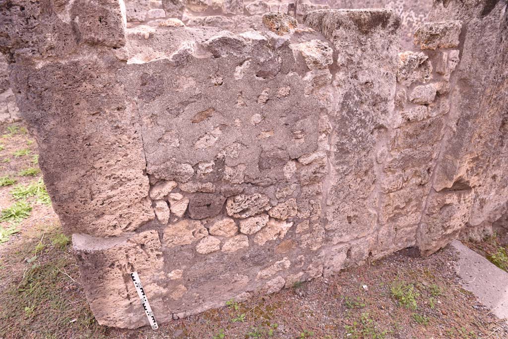 I.4.2 Pompeii. October 2019. Detail of south wall of entrance corridor.
Foto Tobias Busen, ERC Grant 681269 D�COR.
