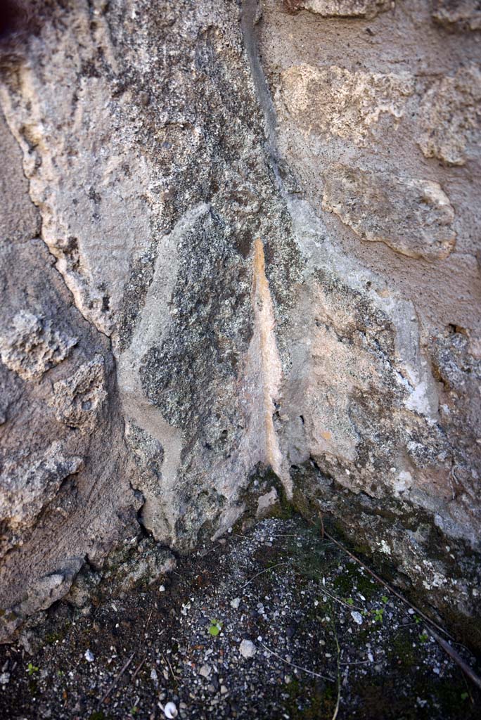 I.4.25/1.4.5 Pompeii. October 2019. Cubiculum 8, detail from south-east corner.
Foto Tobias Busen, ERC Grant 681269 D�COR.