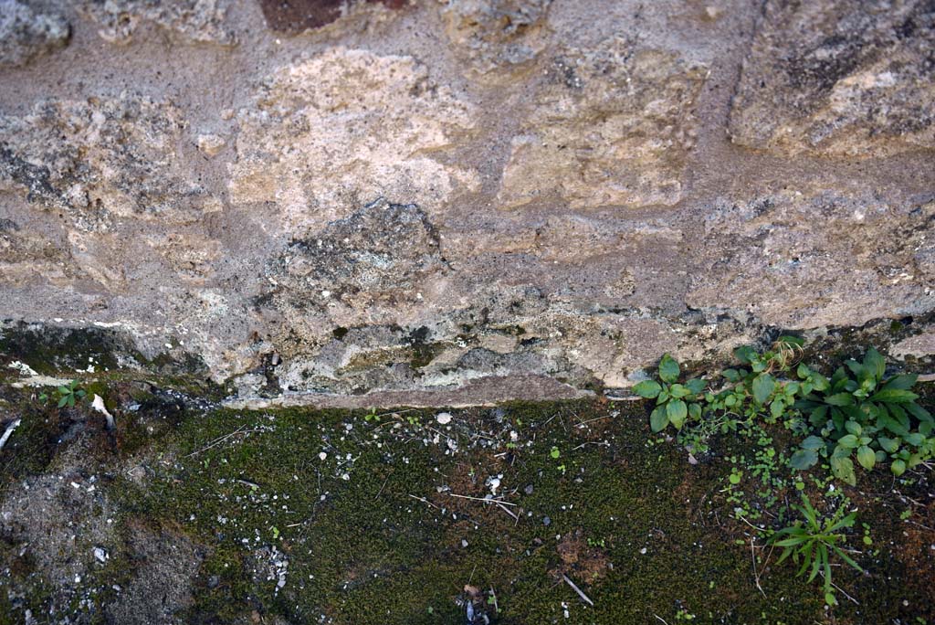 I.4.25/1.4.5 Pompeii. October 2019. Cubiculum 8, detail from west end of lower south wall.
Foto Tobias Busen, ERC Grant 681269 D�COR.
