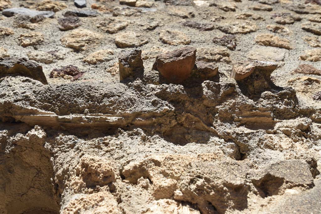 I.4.25 Pompeii. September 2020. Room 48, detail of centre.
Foto Tobias Busen, ERC Grant 681269 D�COR
