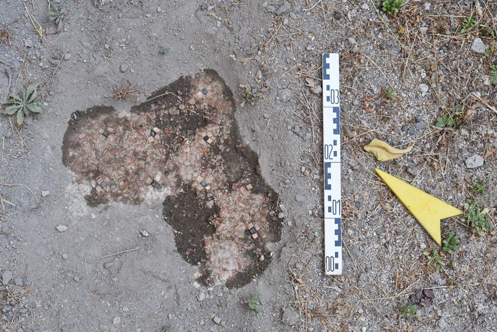 I.4.25 Pompeii. September 2020. Room 52, detail of flooring near north wall. 
Foto Tobias Busen, ERC Grant 681269 D�COR


