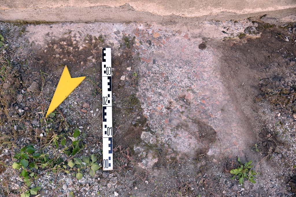 I.4.25/1.4.5 Pompeii. October 2019. Corridor 15, detail of flooring near south wall.
Foto Tobias Busen, ERC Grant 681269 D�COR.
