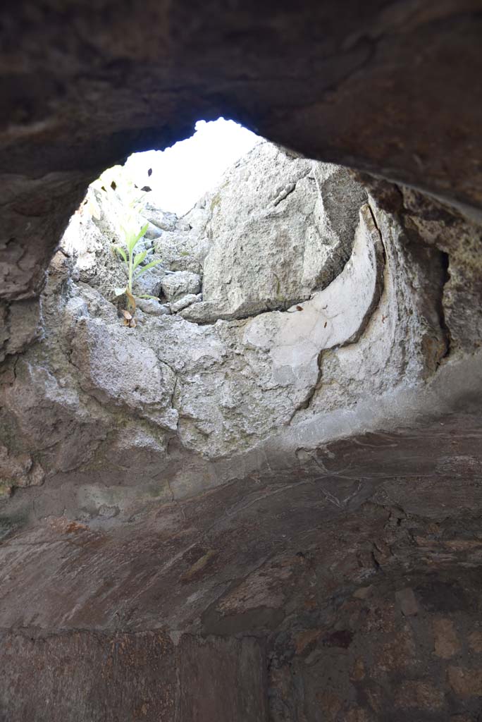 I.4.25/I.4.5 Pompeii. September 2020. Unnumbered corridor/room, roof of second vaulted area.  
Foto Tobias Busen, ERC Grant 681269 D�COR.

