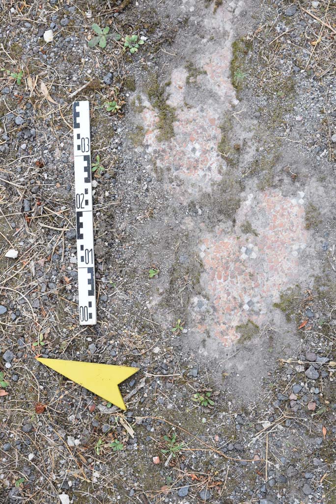 I.4.25 Pompeii. September 2020. Upper Peristyle 56, detail of flooring.
Foto Tobias Busen, ERC Grant 681269 D�COR
