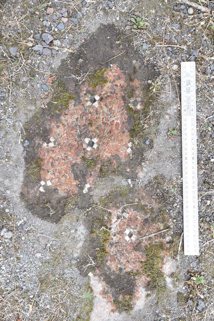 I.4.25 Pompeii. September 2020. Upper Peristyle 56, detail of cleaned flooring.
Foto Tobias Busen, ERC Grant 681269 D�COR
