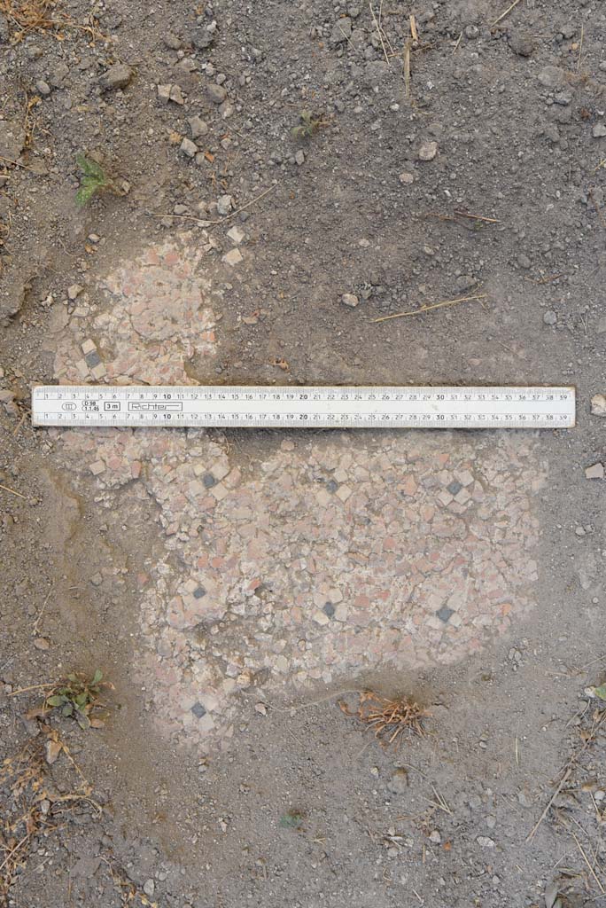 I.4.25 Pompeii. September 2020. Upper Peristyle 56, flooring.
Foto Tobias Busen, ERC Grant 681269 D�COR
