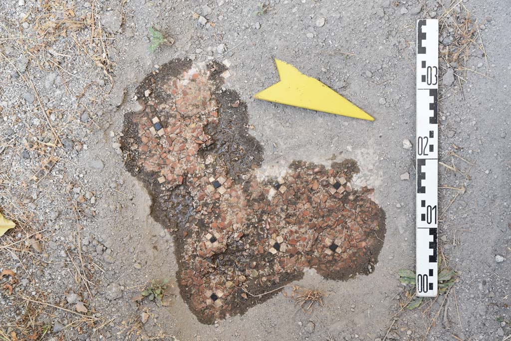 I.4.25 Pompeii. September 2020. Upper Peristyle 56, cleaned flooring.
Foto Tobias Busen, ERC Grant 681269 D�COR
