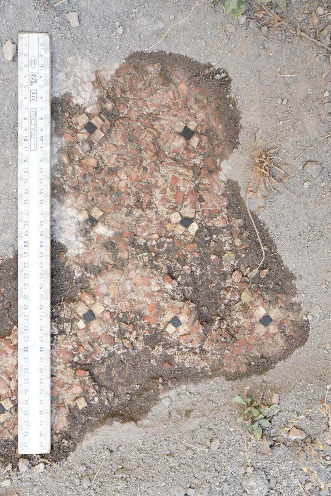 I.4.25 Pompeii. September 2020. Upper Peristyle 56, detail of cleaned flooring.
Foto Tobias Busen, ERC Grant 681269 D�COR
