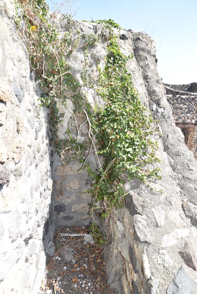 I.4.25 Pompeii. September 2020. Upper Peristyle 56/Middle Peristyle 17, detail.
Foto Tobias Busen, ERC Grant 681269 D�COR.
