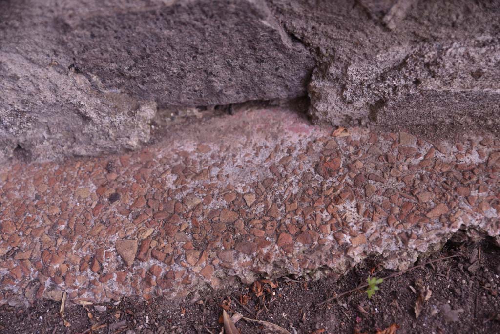 I.4.25 Pompeii. September 2020. Upper Peristyle 56, detail from base of south wall in north-west corner.
Foto Tobias Busen, ERC Grant 681269 D�COR.


