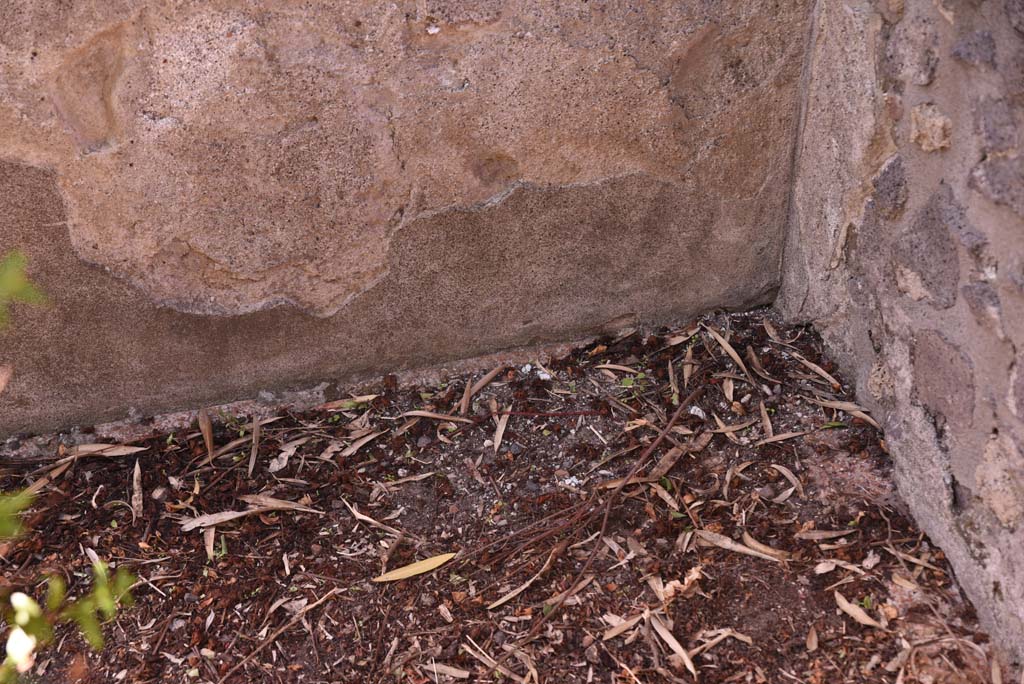 I.4.25 Pompeii. October 2019. Upper Peristyle 56, detail from west wall in north-west corner. 
Foto Tobias Busen, ERC Grant 681269 D�COR
