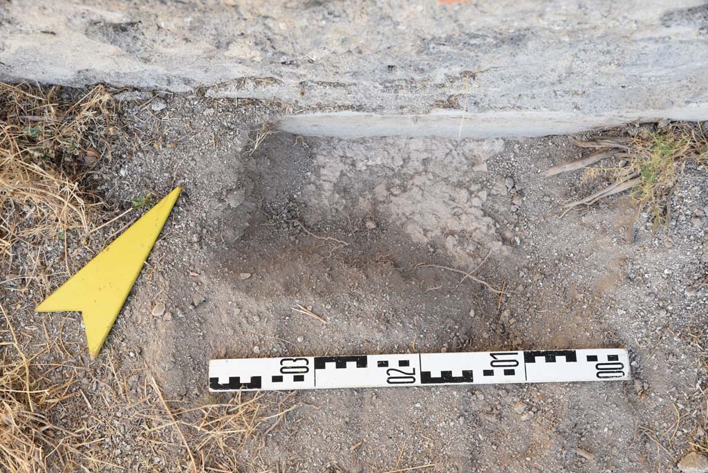 I.4.25 Pompeii. September 2020. Upper Peristyle 56, detail from lower north wall/floor.
Foto Tobias Busen, ERC Grant 681269 D�COR

