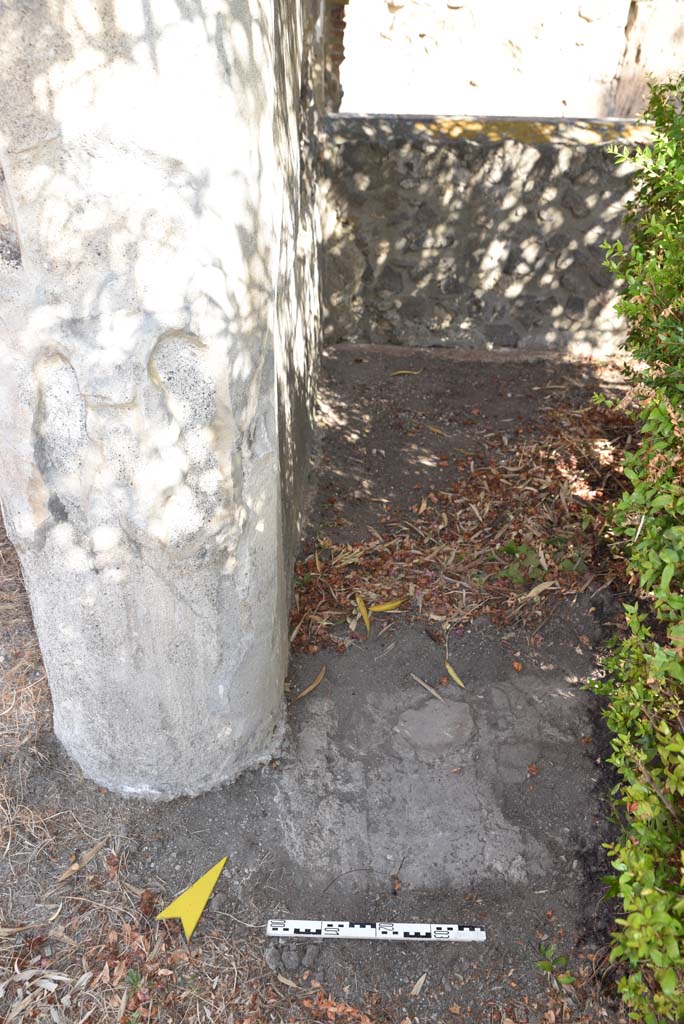I.4.25 Pompeii. September 2020. Upper Peristyle 56, east of column in north-west corner.
Foto Tobias Busen, ERC Grant 681269 D�COR

