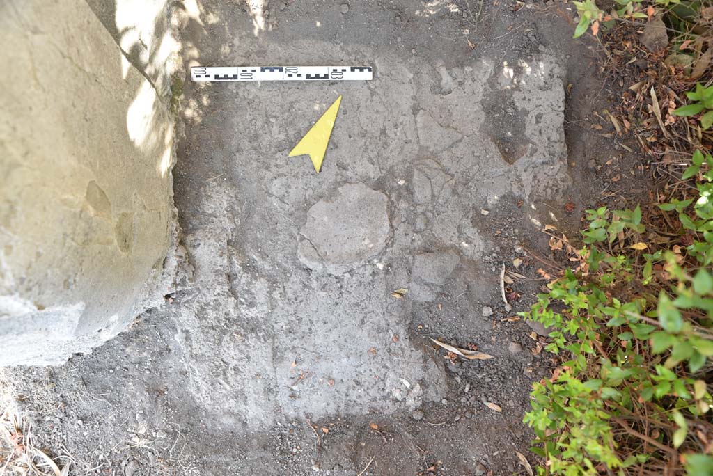 I.4.25 Pompeii. September 2020. Upper Peristyle 56, detail from east of column in north-west corner, looking north.
Foto Tobias Busen, ERC Grant 681269 D�COR

