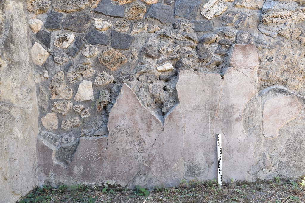 I.4.25 Pompeii. September 2020. Room 57, detail from west wall at south end.
Foto Tobias Busen, ERC Grant 681269 D�COR.
