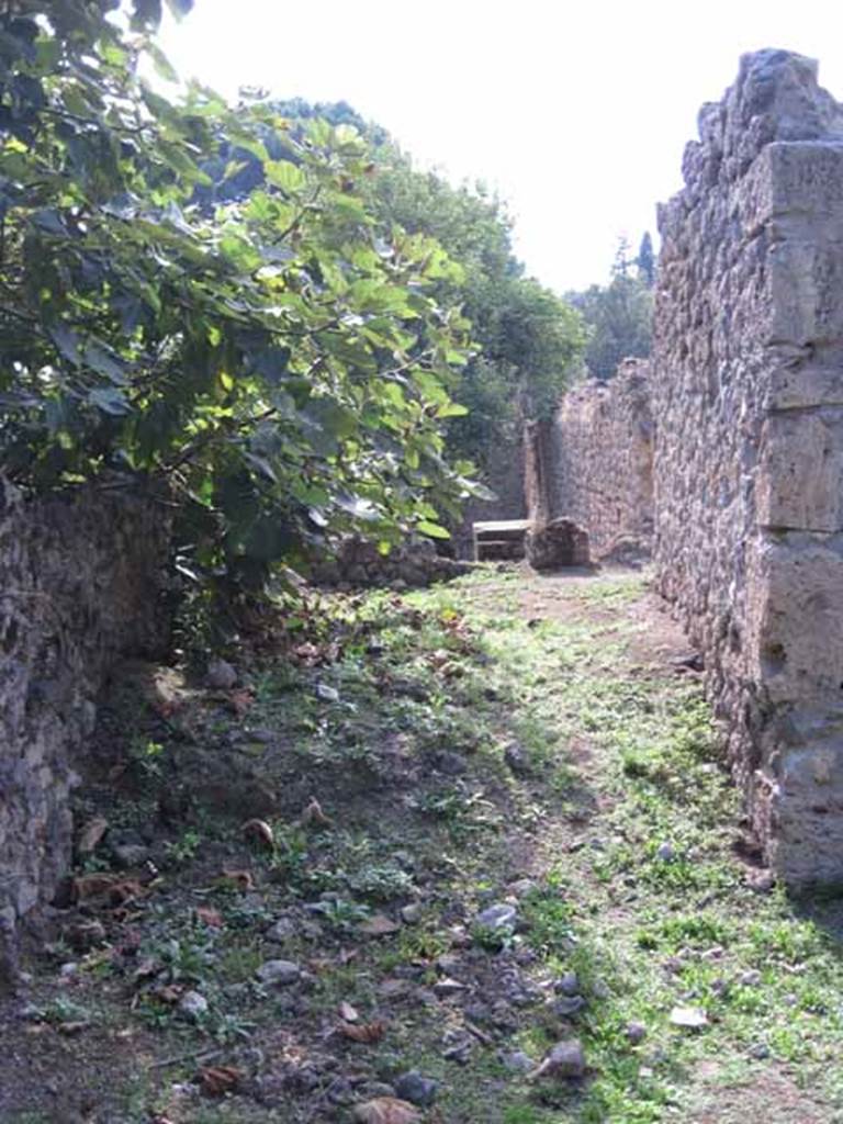 I.5.3 Pompeii. September 2010. Small room or stable, on west side of large open area. Photo courtesy of Drew Baker. Jashemski reported that a watering trough for animals could still be seen. See Jashemski, W. F., 1993. The Gardens of Pompeii, Volume II: Appendices. New York: Caratzas. (p.33)
Possibly, the watering trough is the one in the garden of I.5.2, on the south-west corner of this rear wall.