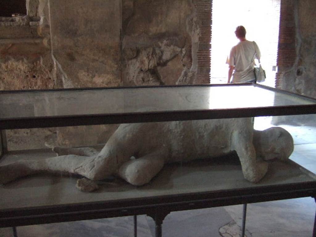 Found in I.5.3. in 1873, now on display in VII.1.8 The Stabian Baths, men’s changing room.
Known as the Seventh Victim or The Sick Man or the Sleeping Man.
This plaster cast was recovered by Fiorelli on 25th September 1873 during the excavation of the garden of I.5.3.
This was one of the human plaster casts, as were in the Pompeii Antiquarium prior to the 1943 bombing – then either destroyed or now restored and on display elsewhere.
See Pappalardo, U., 2001. La Descrizione di Pompei per Giuseppe Fiorelli (1875). Napoli: Massa Editore. (p.165)
See SSANP: Boscoreale Antiquarium exhibition catalogue: The Casts, 5 March – 20 December 2010. (p.7)
See Garcia y Garcia, L., 2006. Danni di guerra a Pompei. Rome: L’Erma di Bretschneider. (p.191)
See Dwyer, E., 2010. Pompeii’s Living Statues. Univ. of Michigan Press. (p.85)