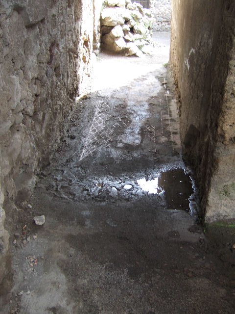 I.6.4 Pompeii. December 2005. Room 7, andron or corridor to rear.