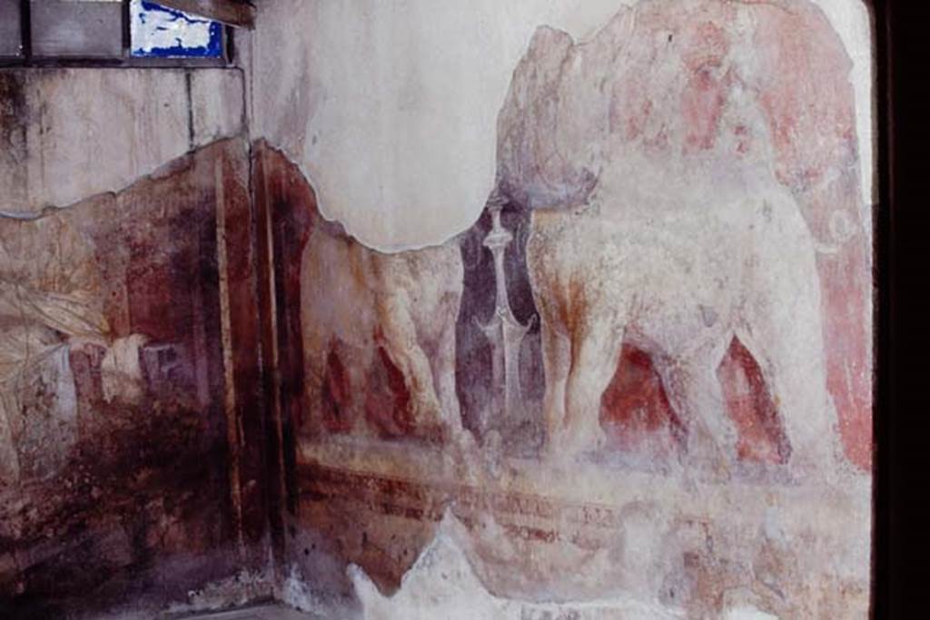 I.6.4 Pompeii, 1968. Room 11, north-east corner. Photo by Stanley A. Jashemski.
Source: The Wilhelmina and Stanley A. Jashemski archive in the University of Maryland Library, Special Collections (See collection page) and made available under the Creative Commons Attribution-Non Commercial License v.4. See Licence and use details.
J68f0468