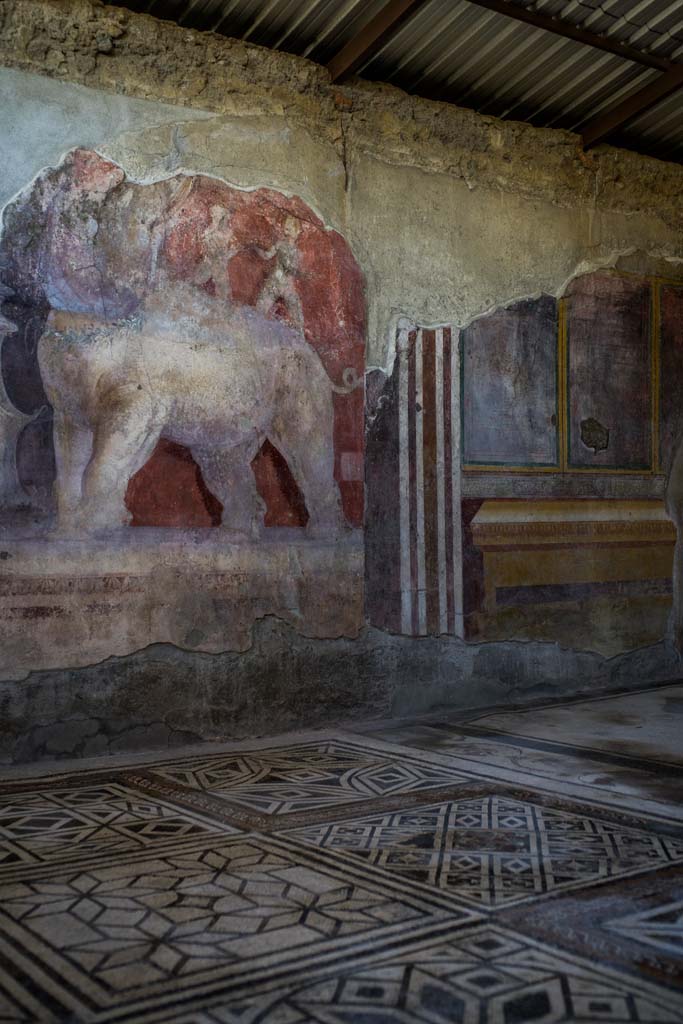 I.6.4 Pompeii. December 2021.
Room 11, room of the elephants – showing fine mosaic floor and painting on east wall.
Photo courtesy of Johannes Eber.