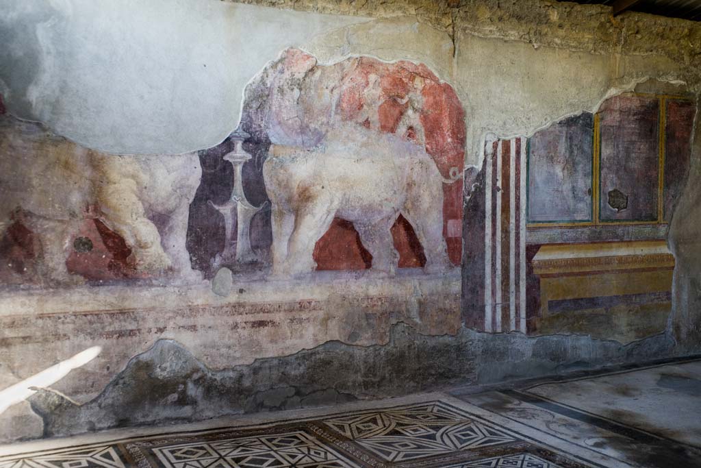 I.6.4 Pompeii. December 2021. Room 11, room of the elephants, looking towards east wall. Photo courtesy of Johannes Eber.
The room has a fine mosaic floor.