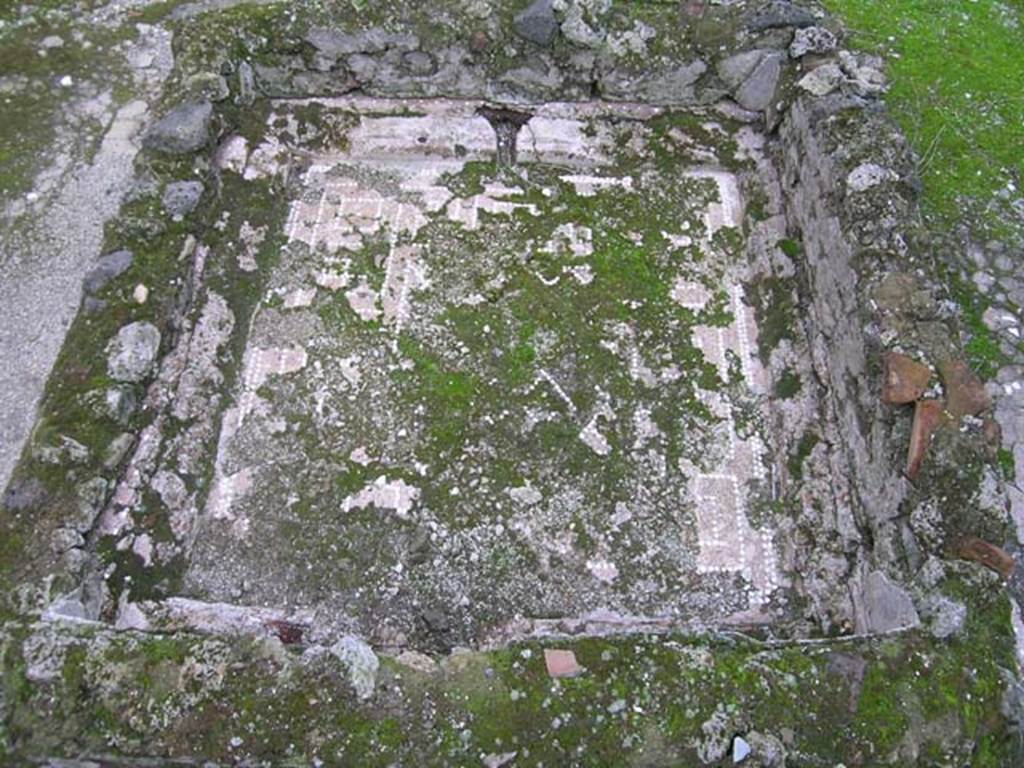 I.6.9 Pompeii. October 2004. Impluvium base, looking south. Photo courtesy of Nicolas Monteix.
According to PPM the impluvium had a base of cocciopesto decorated in white tesserae.
A network of diamond shapes enclosed by a double border with meanders and squares.
See Carratelli, G. P., 1990-2003. Pompei: Pitture e Mosaici. Vol. 1. Roma: Istituto della enciclopedia italiana, p. 353.