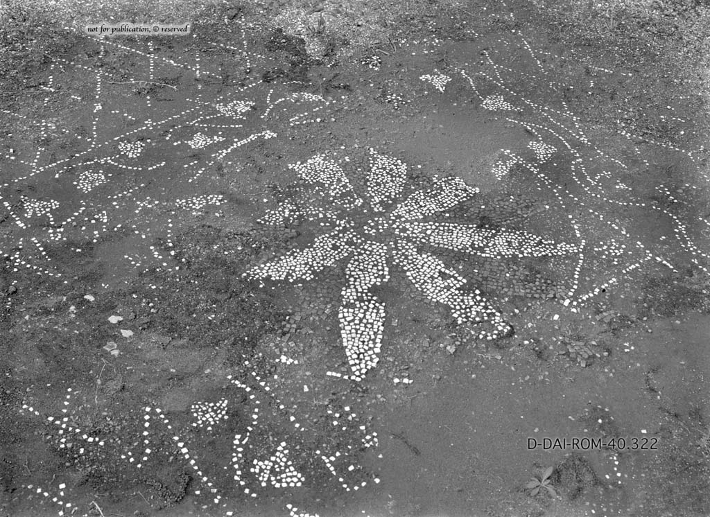 I.6.13 Pompeii. c.1930. Flooring in triclinium 4.  
DAIR 40.322. Photo � Deutsches Arch�ologisches Institut, Abteilung Rom, Arkiv.
See Pernice, E.  1938. Pavimente und Fig�rliche Mosaiken: Die Hellenistische Kunst in Pompeji, Band VI. Berlin: de Gruyter, (p.42, and tav. 11.5 above.)

