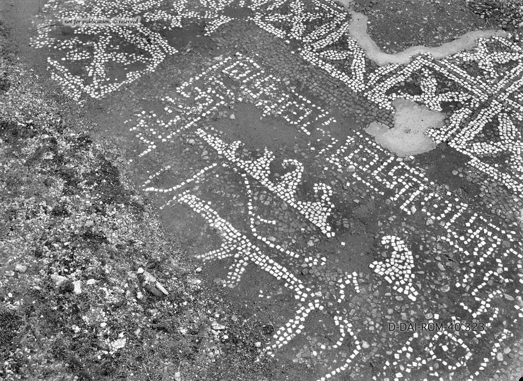I.6.13 Pompeii. c.1930. Flooring in room 9.   
DAIR 40.323. Photo � Deutsches Arch�ologisches Institut, Abteilung Rom, Arkiv.
See Pernice, E.  1938. Pavimente und Fig�rliche Mosaiken: Die Hellenistische Kunst in Pompeji, Band VI. Berlin: de Gruyter, (p.42, and tav. 11.6 above.)
