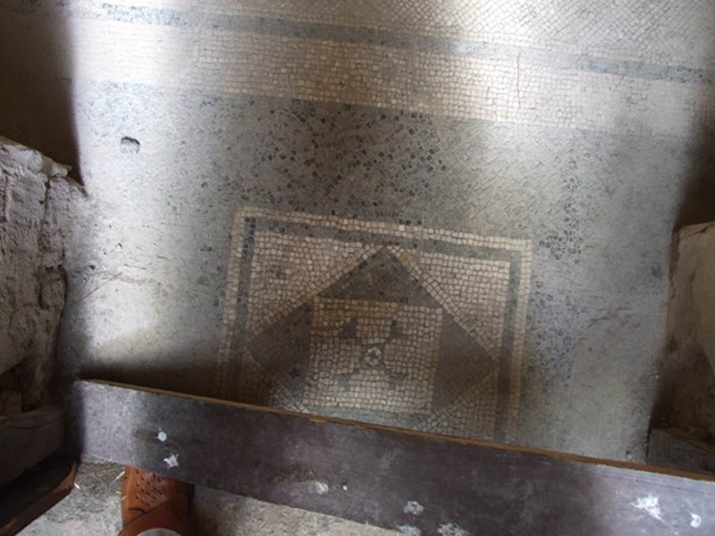 I.6.15 Pompeii. March 2009. Room 11, mosaic floor in doorway.