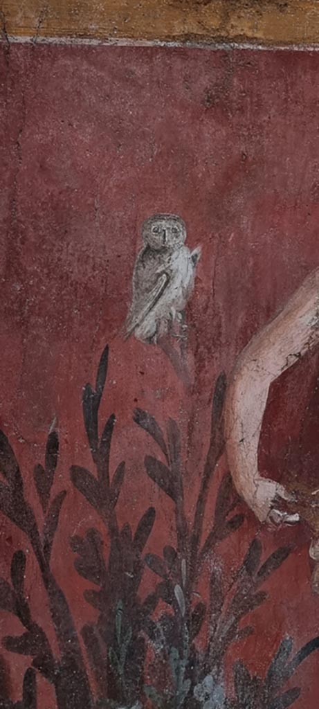 I.6.15 Pompeii. December 2023.
Room 9, painted owl on south-west side of small garden.
Photo courtesy of Miriam Colomer.