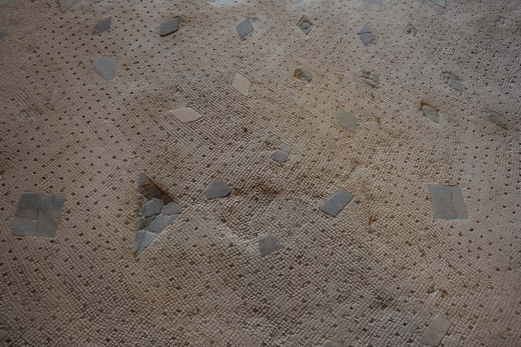 I.7.1 Pompeii. October 2019. Detail of flooring in oecus.
Foto Annette Haug, ERC Grant 681269 D�COR.

