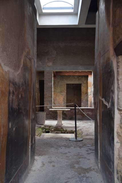 I.7.3 Pompeii. December 2005. Looking south along west side of atrium to small garden. According to Jashemski, in the lightwell or small garden at the rear of the atrium, was a small raised flower bed. In the bed was a tiny semicircular pool, which was fed by roof water. There were three marble bases which were probably placed at the edge of the pool. On the south wall behind thr small garden was a garden painting. See Jashemski, W. F., 1993. The Gardens of Pompeii, Volume II: Appendices. New York: Caratzas. (p.37, with fig.36) A description of the garden painting is given on page 316, no. 7