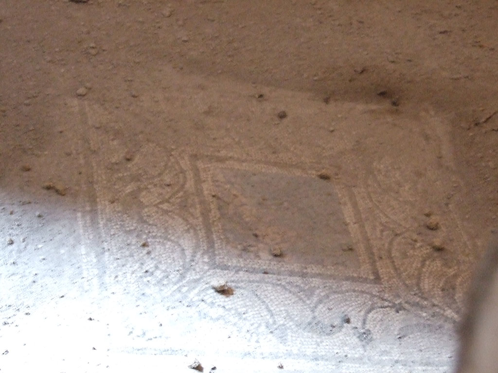 I.7.3 Pompeii. December 2005. Mosaic floor and centre panel in triclinium in north-east corner of atrium. Photo taken from I.7.4.