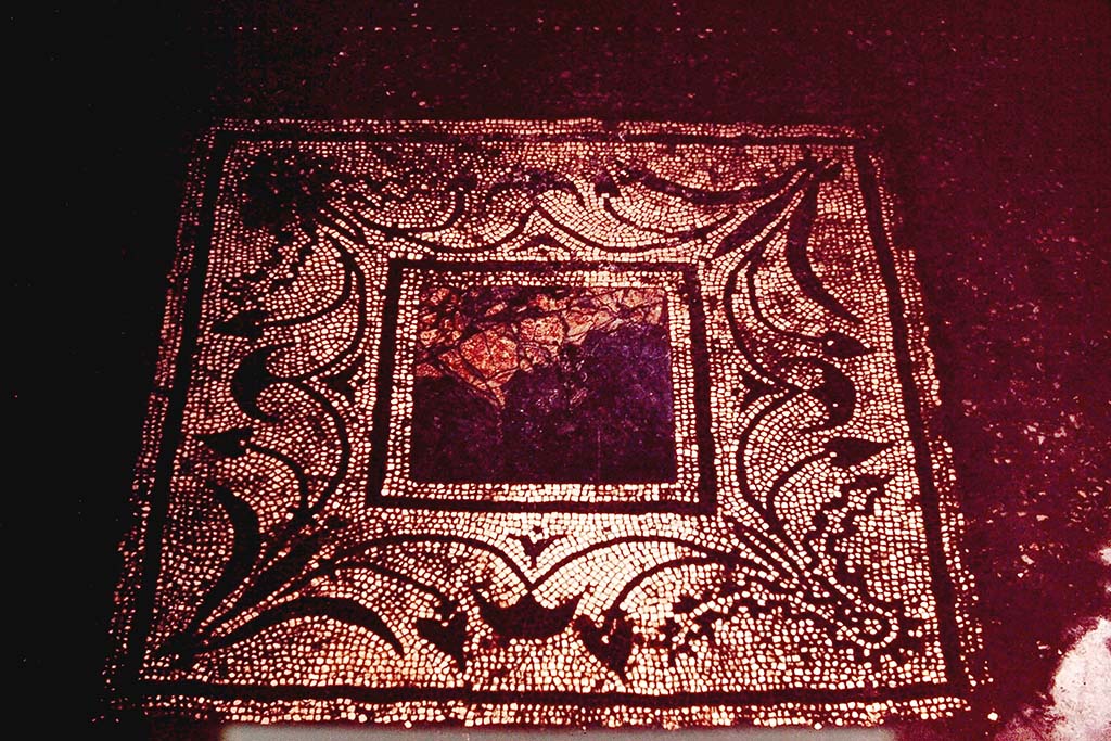 I.7.3 Pompeii. 1964. Mosaic floor and centre panel in triclinium in north-east corner of atrium. Photo by Stanley A. Jashemski.
Source: The Wilhelmina and Stanley A. Jashemski archive in the University of Maryland Library, Special Collections (See collection page) and made available under the Creative Commons Attribution-Non-Commercial License v.4. See Licence and use details.
J64f1810